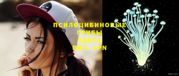 таблы Алзамай