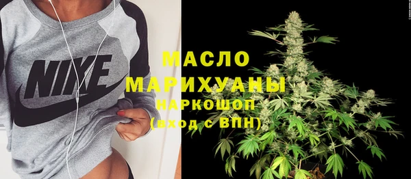 хмурый Аркадак