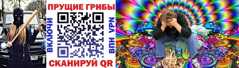 Псилоцибиновые грибы мицелий  Купить закладки  Тырныауз 